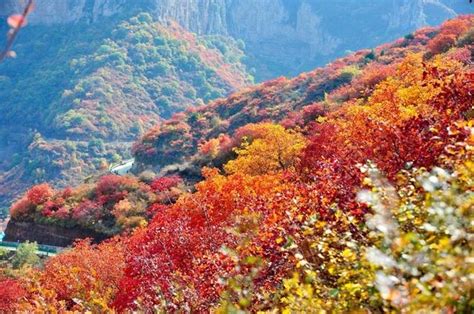 黎城 四方山|深秋赏黎城四方山红叶美景，旅游攻略